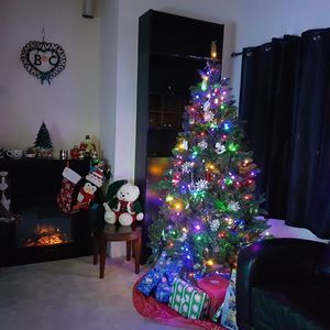 Meet your Posher, Bonnie ann